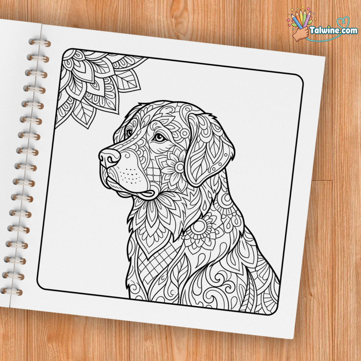 Mindfulness Coloring Book