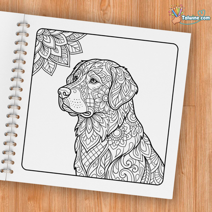 Mindfulness Coloring Book