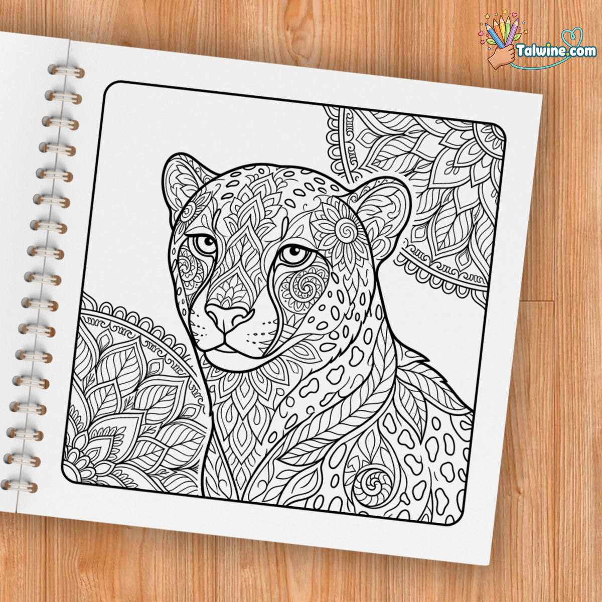 Mindfulness Coloring Book